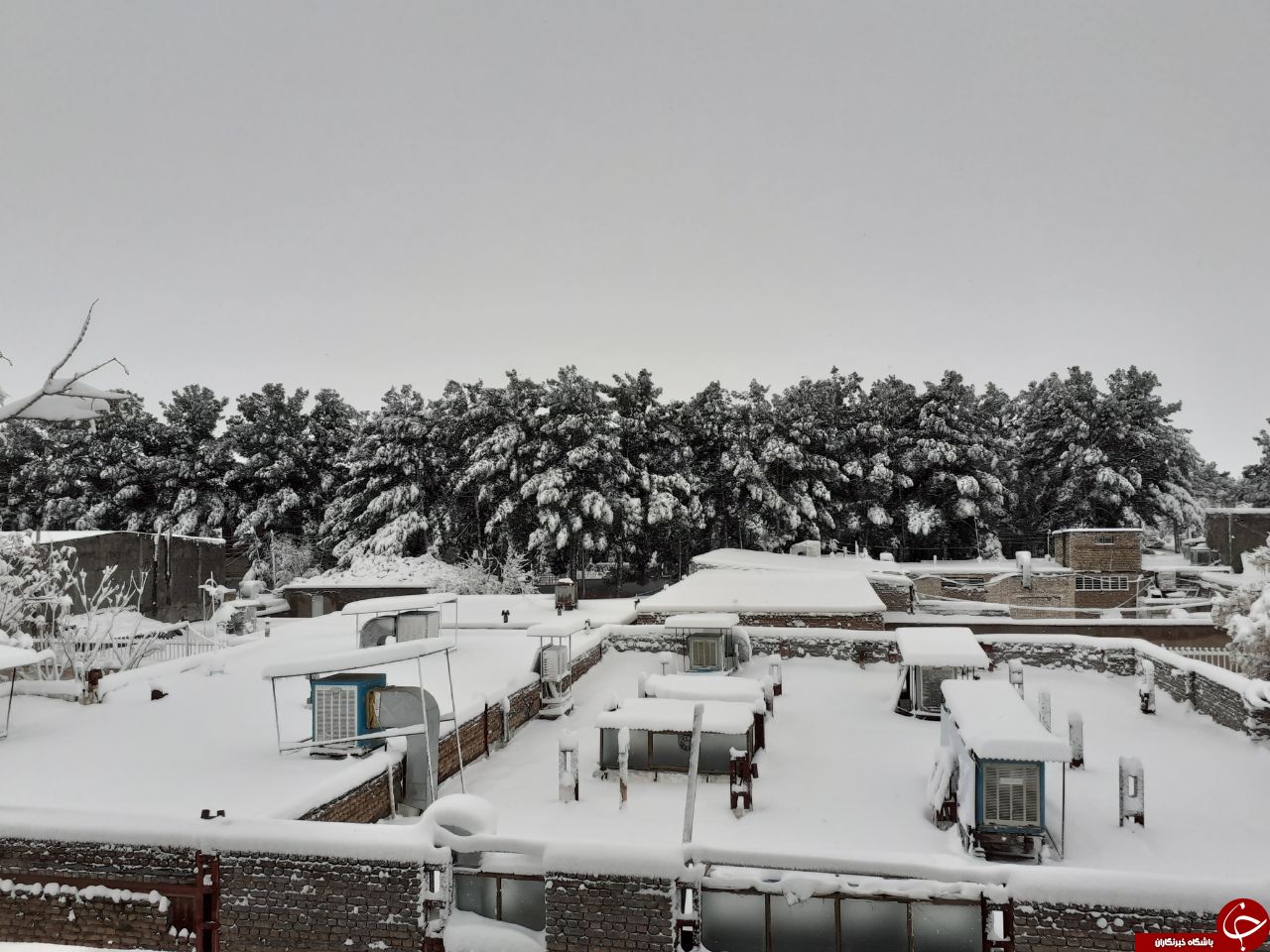 نخستین برف زمستانی با ارتفاع ۲۲ سانتی متر در تربت جام