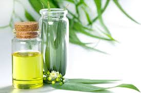 داروهای گیاهی و اثرات آن ها 