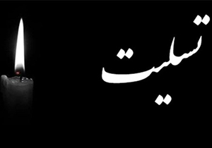 پیام تسلیت نماینده ولی فقیه در فارس در پی سانحه هوایی هواپیمای مسافربری اوکراین