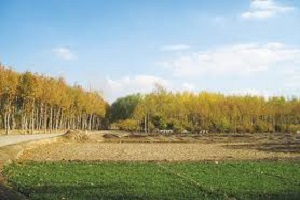 توقف احداث باغ گیاه شناسی اصفهان در اراضی ناژوان
