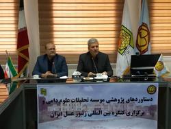 تولید ۹۰ هزار تن عسل در کشور
