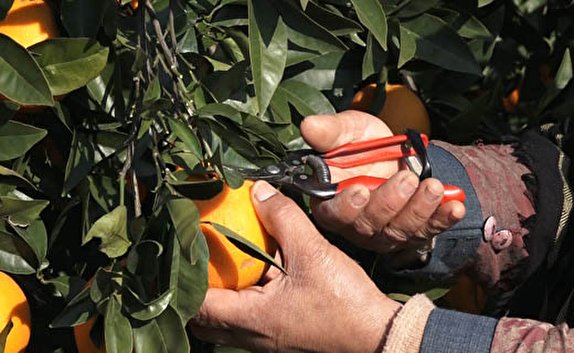 نگاهی گذرا به مهمترین رویداد&zwnj;های دوشنبه ۲۳ دی ماه در مازندران