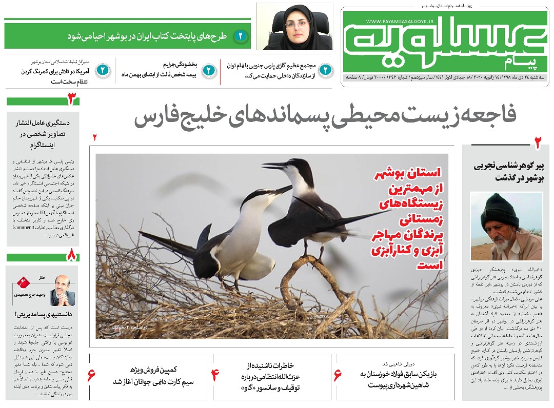 پسماندها مرگ خلیج فارس را رقم می&zwnj;زنند/ استان بوشهر از مهمترین زیستگاه&zwnj;های زمستانی پرندگان مهاجر آبزی و کنارآبزی است