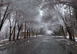 تدام بارش برف در آسمان کویری یزد