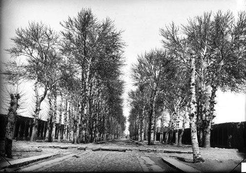 سرنوشت کاوش ها در چهارباغ به کدام سو می رود ؟