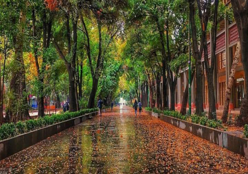 سرنوشت کاوش ها در چهارباغ به کدام سو می رود ؟