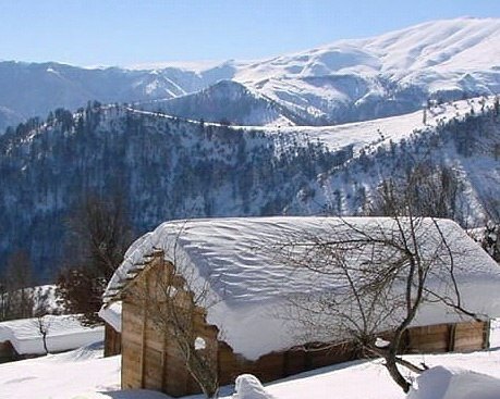 بارش برف در گیلان به روایت تصویر