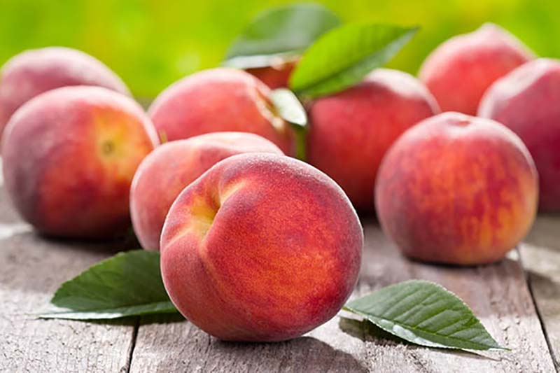 برای وزن کم کردن این میوه را بخورید