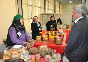 فعالیت ۹ صندوق اعتباری خرد زنان روستایی در اردبیل