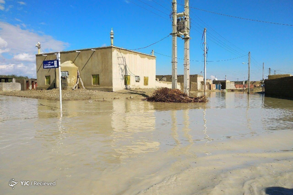 سیستان در آب، یک عده همچنان دنبال شهرت! / چرا سلبریتی ها دست از سر کشته شدگان هواپیمای اوکراینی بر نمی دارند؟