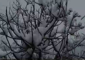 از بارش برف در «فریمان» تا یادبود شهید قاسم سلیمانی در روستای «دارگان» + فیلم و تصاویر از بارش برف در «فریمان» تا یادبود شهید قاسم سلیمانی در روستای «دارگان» + فیلم و تصاویر