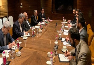 دیدار و گفتگوی &laquo;محب&raquo; و &laquo;ظریف&raquo; در دهلی نو