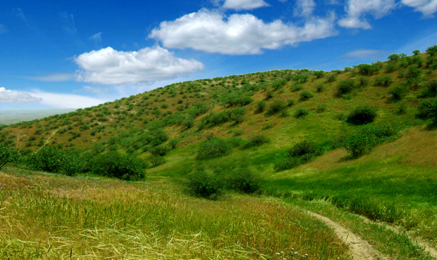کسب جایگاه نخست کشوری توسط روابط عمومی اداره کل منابع طبیعی جنوب کرمان