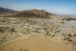 خسارت سیل به احشام در سیستان و بلوچستان