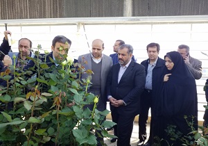 بازدید استاندار قزوین از یک واحد گلخانه