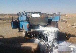توقیف خودروی حامل شیرخام غیرمجاز در میامی