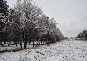 کاهش ۵۰ درصدی میزان بارش ها در چهارمحال و بختیاری