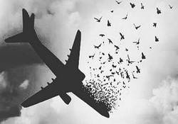 بخش خبری مجله خبری ۲۹ دی ماه ۹۸ + فیلم