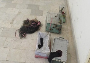 دستگیری متخلف زنده گیری سهره طلایی در شهرستان گرمی