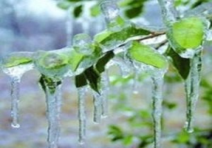 قاین و سربیشه، سردترین شهرهای استان