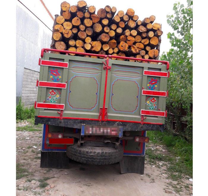 کشف محموله ۱۱ تنی چوب قاچاق در ساری