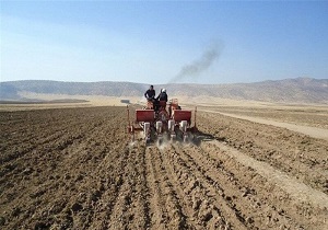 تجلیل از کلزا کارنمونه ملی از استان قزوین