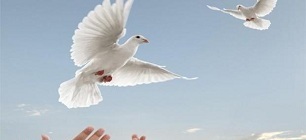 آزادی قدیمی&zwnj;ترین زندانی هرمزگانی پس از ۲۲ سال