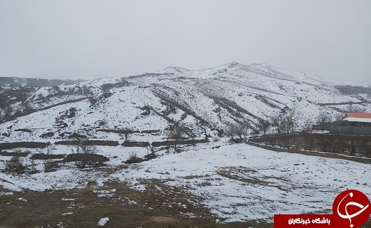 لباس سفید زمستان بر تن روستای خاوه+تصاویر