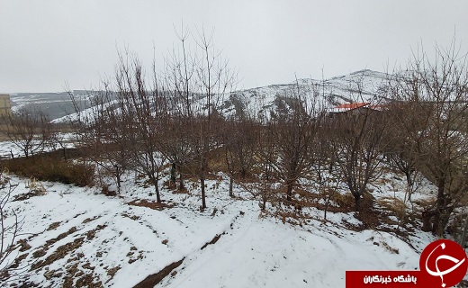 لباس سفید زمستان بر تن روستای خاوه+تصاویر