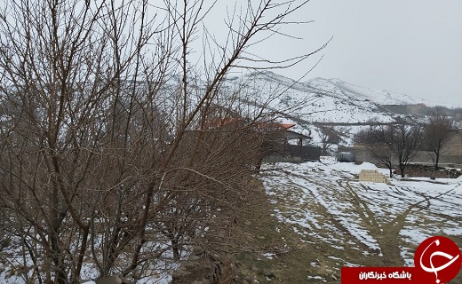 لباس سفید زمستان بر تن روستای خاوه+تصاویر