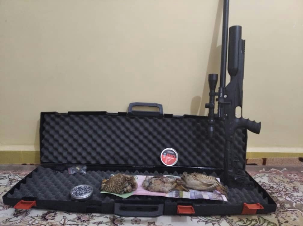 دستگیری شکارچی کمنزیل&zwnj;ها در جنوب کرمان