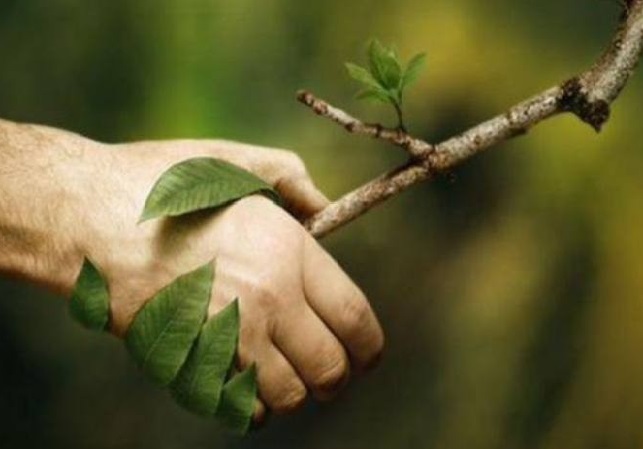 سمن های زیست محیطی استان مرکزی فعالترین سمن های کشور