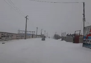 سفیدپوش شدن جاده باغ معروف به تبریز + فیلم
