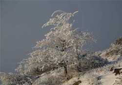 برف مهمان زنجانی ها