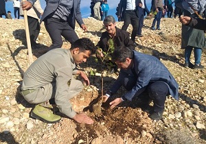 نهال‌ها شهیون دزفول را سبز کردند