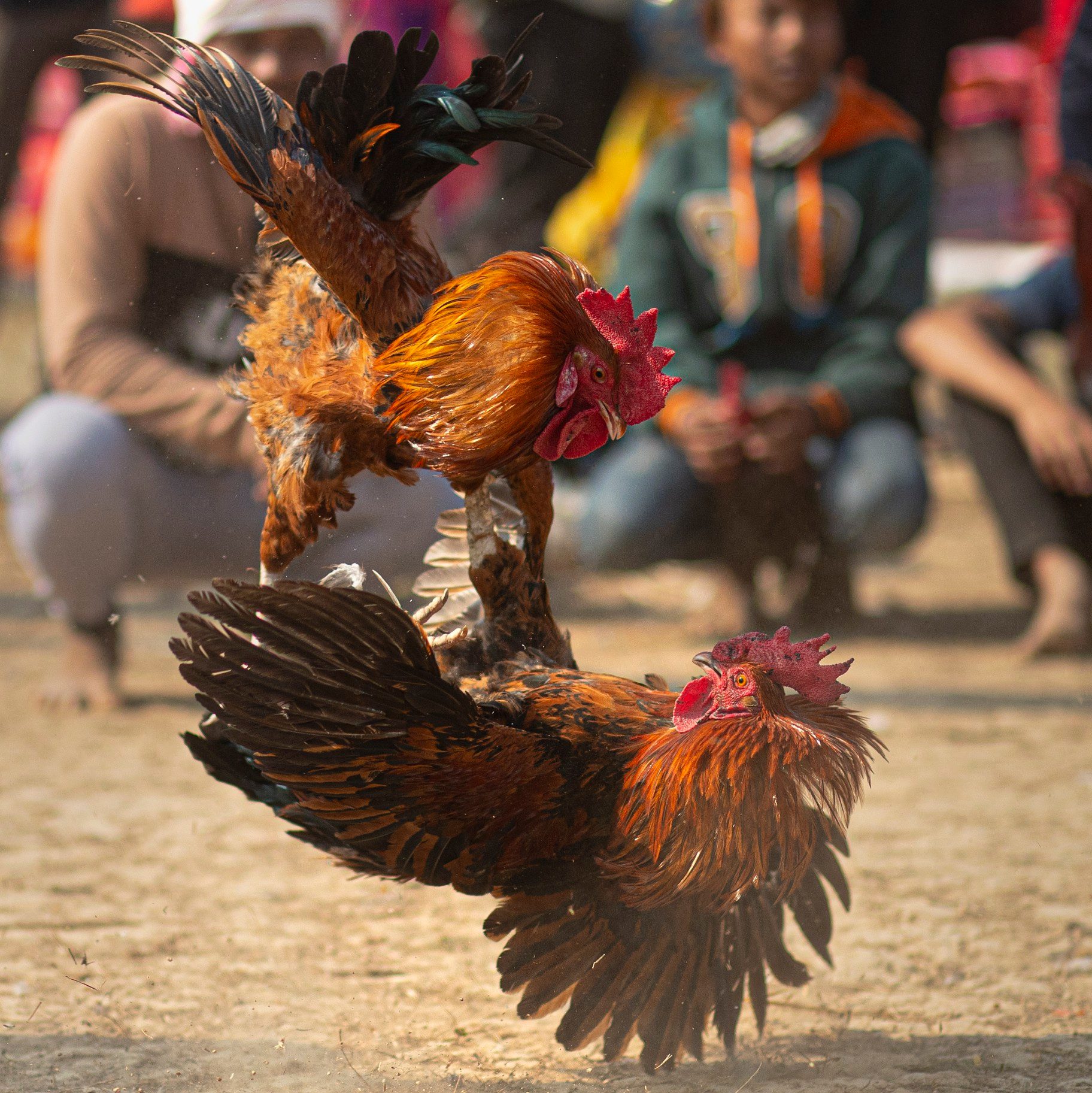 تصاویر روز: از