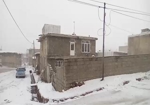 لحظات زیبای بارش برف در روستای «کمهر» + فیلم