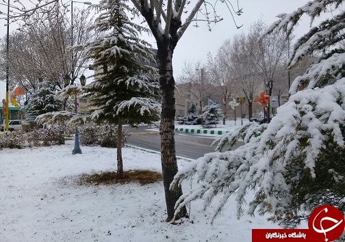 بارش برف به روایت تصویر در استان سمنان