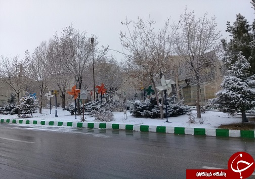بارش برف به روایت تصویر در استان سمنان