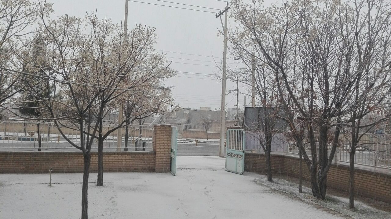 بارش برف در خوشاب+ تصاویر