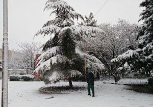 برف تکانی درختان و برف روبی معابر بوستان‌های قزوین