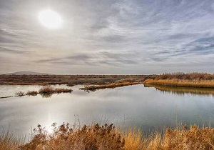 رهاسازی ۲۰ میلیون متر مکعب حق آبه محیط زیستی برای تالاب گاوخونی