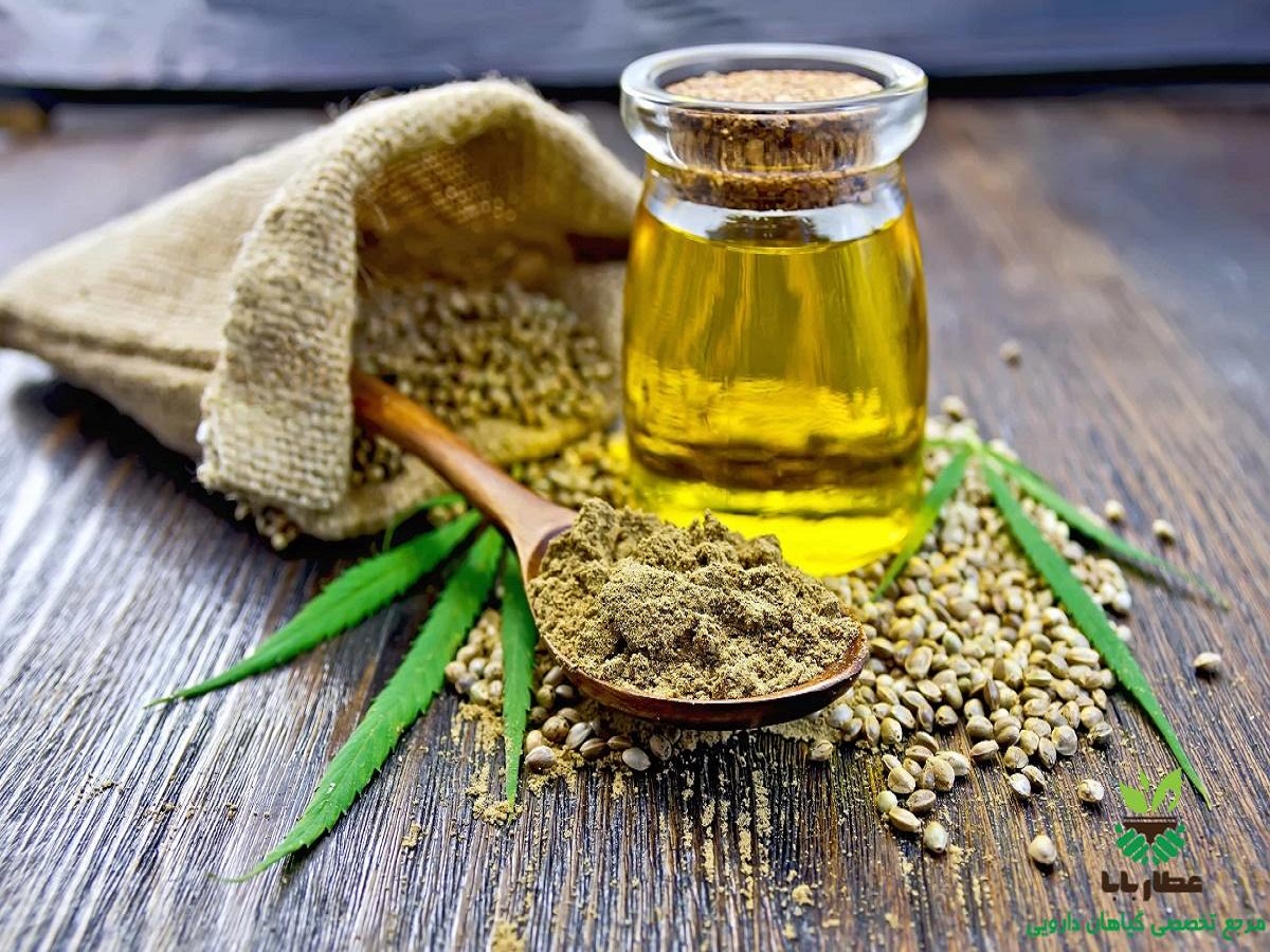 سلطان دانه‌های مغذی را بشناسید