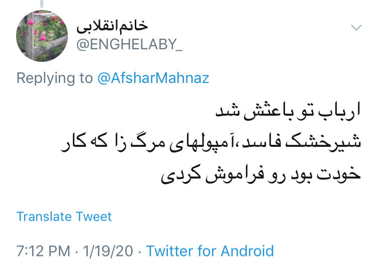 نظر کاربران به پست جنجالی مهناز افشار درباره هواپیمای اوکراینی؛ چند می&zwnj;گیری توئیت می&zwnj;زنی؟