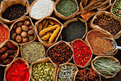 بهترین ادویه&zwnj;ها برای زمستان