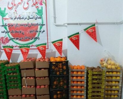 در یلدای مهربانی بیش از ۳ تن میوه در بین مددجویان توزیع شد