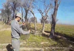 از مزاحمت بازارچه در حاشیه شهرک رضوان تا نمایی از آبشار جذاب و دیدنی در &laquo;رجن&raquo; + فیلم و تصاویر
