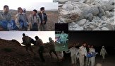 &zwj; مشاهده و زنده گیری یک سر تمساح سیل زده توسط یگان حفاظت محیط زیست سیستان و بلوچستان
