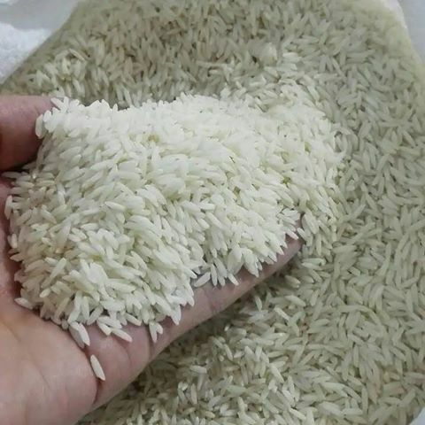 توزیع برنج درجه یک پاکستانی