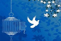 فراهم شدن زمینه آزادی ۱۱ زندانی در سیستان و بلوچستان